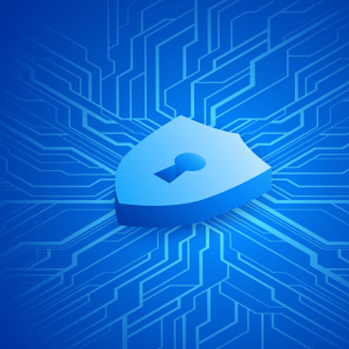 a blue lock in the shape of a shield representing cybersecurity