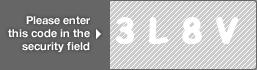 captcha code for visual authentication  number 3 letter L number 8 letter V
