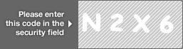 captcha code for visual authentication  letter N number 2 letter X number 6