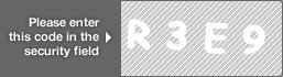captcha code for visual authentication  letter R number 3 letter E number 9