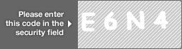 captcha code for visual authentication  letter E number 6 letter N number 4